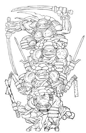 Teenage Mutant Ninja Turtle #20 Ratios