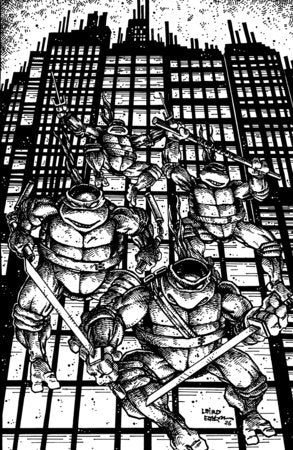 Teenage Mutant Ninja Turtle #20 Ratios