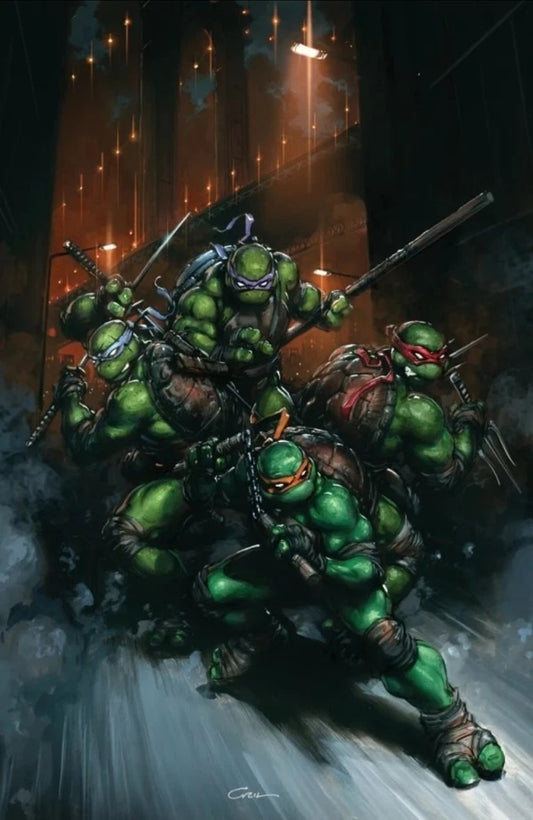 Teenage Mutant Ninja Turtles #13 Variant 1:50 Crain Virgin