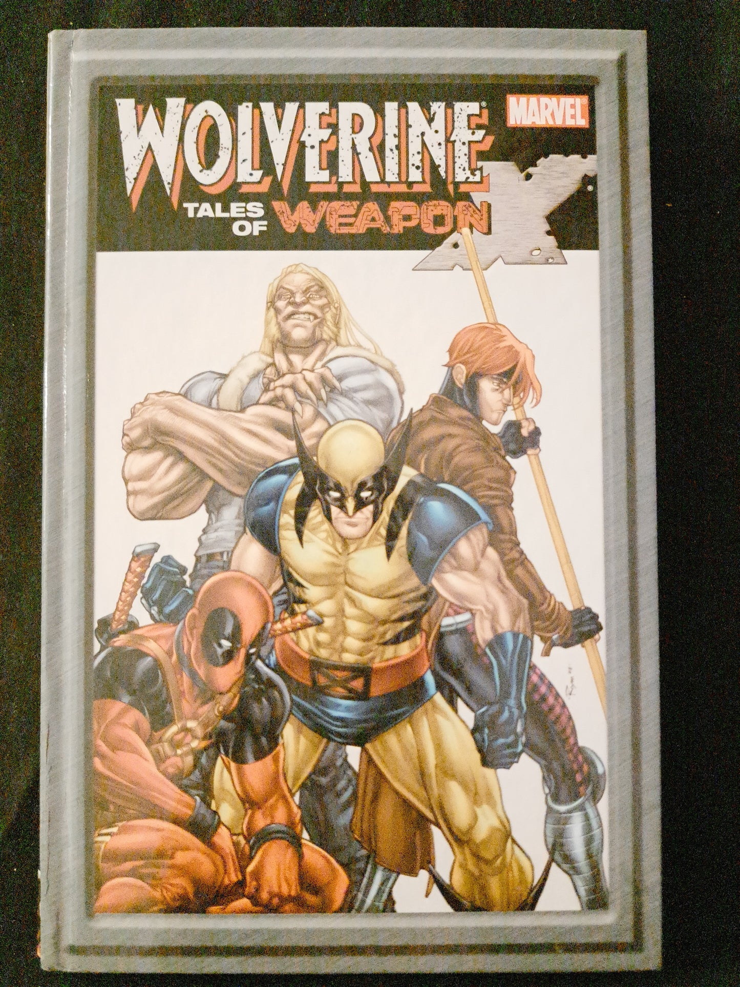 Marvel Wolverine Tales of Weapon X Mini TPB  (2009) 1st Print