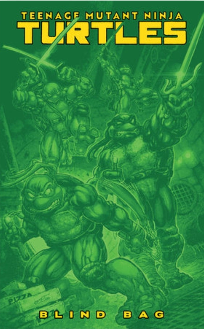 Teenage Mutant Ninja Turtle #13 Blind Bag