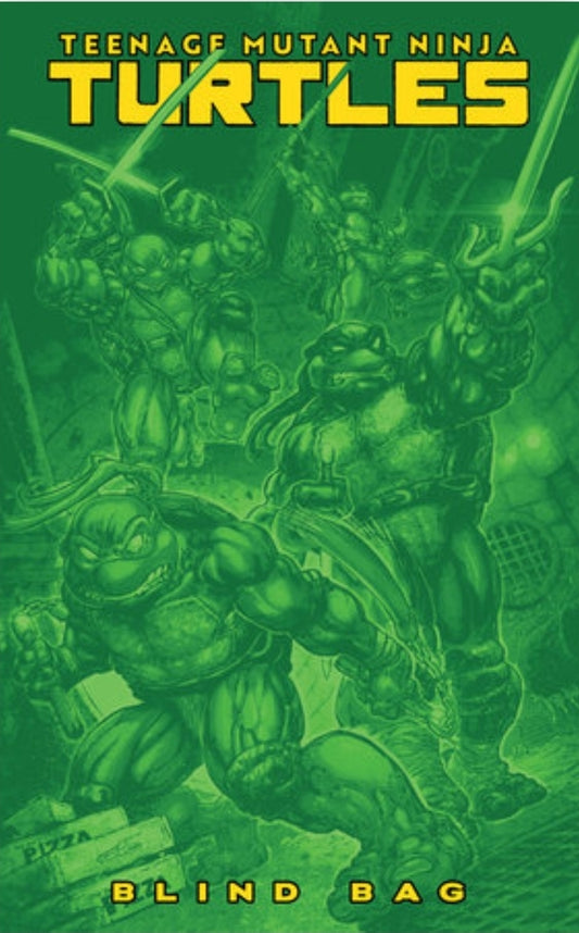 Teenage Mutant Ninja Turtle #13 Blind Bag