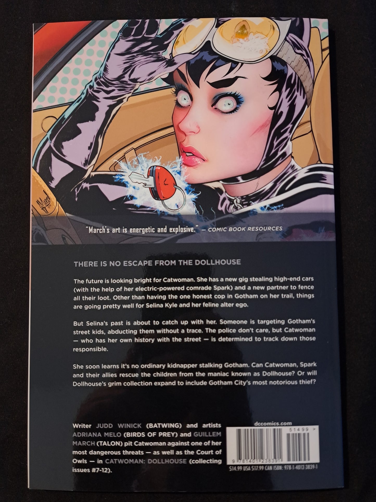 Catwoman Vol. 2: Dollhouse (the New 52) by Judd Winick (2013, Trade Paperback)